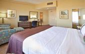 Туры в отель Holiday Inn Downtown San Diego