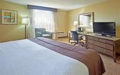 Туры в отель Holiday Inn Downtown San Diego