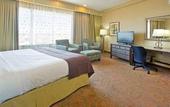 Туры в отель Holiday Inn Downtown San Diego