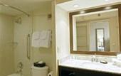 Туры в отель Holiday Inn Downtown San Diego