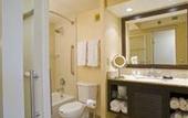 Туры в отель Holiday Inn Downtown San Diego