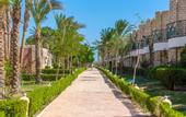 Туры в отель Aladdin Beach Resort