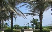 Туры в отель Hawaii