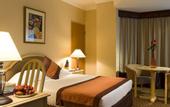 Туры в отель Novotel Abu Dhabi Gate