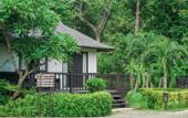 Туры в отель Phi Phi Holiday Resort