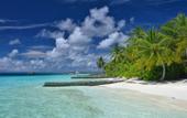 Туры в отель Velidhu Island Resort