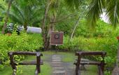 Туры в отель Velidhu Island Resort