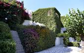 Туры в отель Sunshine Corfu Hotel & Spa