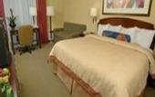 Туры в отель Holiday Inn Fisherman