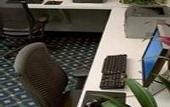 Туры в отель Holiday Inn Fisherman