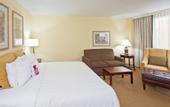 Туры в отель Crowne Plaza International Airport