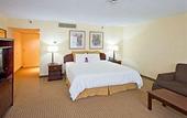 Туры в отель Crowne Plaza International Airport