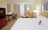 Туры в отель Crowne Plaza International Airport