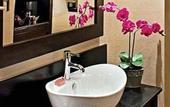 Туры в отель The Sofia Hotel