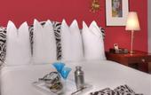 Туры в отель Hotel Triton