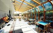 Туры в отель Comfort Inn & Suites Airport