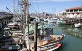 Туры в отель Best Western Tuscan Inn at Fisherman`s Wharf