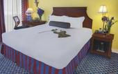 Туры в отель Serrano Hotel