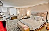 Туры в отель Luxe City Center Hotel