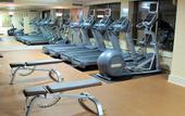 Туры в отель Hotel Paloma Westwood