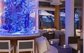Туры в отель Hyatt Regency Mission Bay