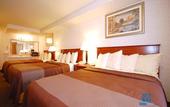 Туры в отель Best Western Airport Plaza Inn