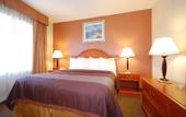 Туры в отель Best Western Airport Plaza Inn