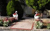 Туры в отель Blue Bay Hotel