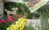 Туры в отель Creekside Inn