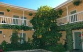 Туры в отель Creekside Inn