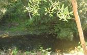 Туры в отель Creekside Inn