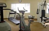 Туры в отель Holiday Inn Mission Valley