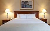 Туры в отель Holiday Inn Mission Valley