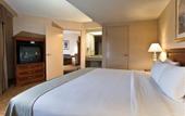 Туры в отель Holiday Inn Mission Valley