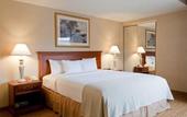 Туры в отель Holiday Inn Mission Valley