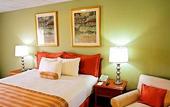 Туры в отель Airport Regency Hotel