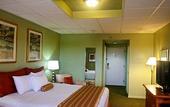 Туры в отель Airport Regency Hotel