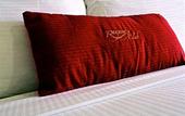 Туры в отель Airport Regency Hotel