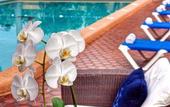 Туры в отель Airport Regency Hotel
