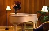 Туры в отель Airport Regency Hotel