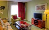 Туры в отель Airport Regency Hotel
