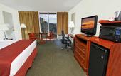 Туры в отель Ramada Inn Miami Airport North - Hialeah