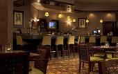 Туры в отель Sheraton Gateway Suites Chicago O