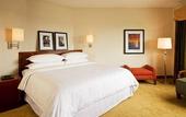 Туры в отель Sheraton Gateway Suites Chicago O