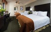 Туры в отель Willows Hotel
