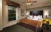 Туры в отель Willows Hotel