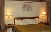 Туры в отель Days Inn Chicago
