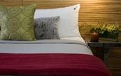 Туры в отель Hard Rock Hotel Chicago