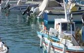 Туры в отель Blue Dolphin