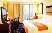 Туры в отель Radisson Hotel Chicago O